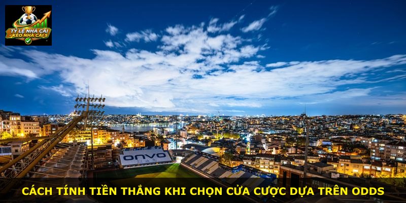 Cách tính tiền thắng khi chọn cửa cược dựa trên odds